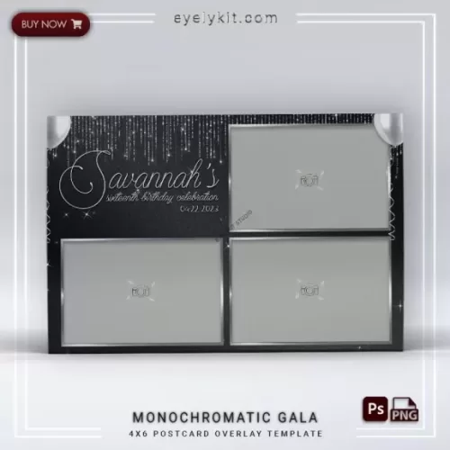 360 PHOTO BOOTH OVERLAY PHOTOBOOTH-OVERLAY-EYELYKIT-HOW-TO-MONOCHROMATIC-GALA-3PICL