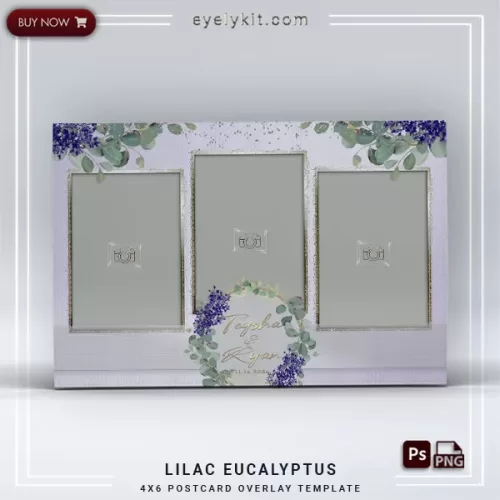 photobooth overlay template PHOTOBOOTH-OVERLAY-EYELYKIT-HOW-TO-LILAC-EUCALYPTUS-3PICP