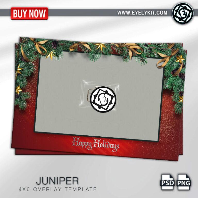 CHRISTMAS OVERLAY OVERLAY-PHOTOBOOTH-ANIMATION-IPAD-MIRROR-FREE-juniper-1picl