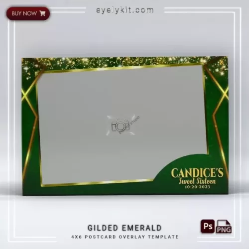 PHOTO BOOTH OVERLAY PHOTOBOOTH-OVERLAY-EYELYKIT-HOW-TO-gilded-emerald-1picl