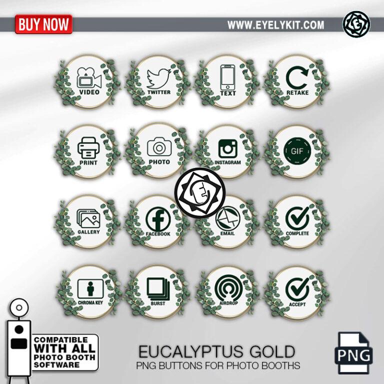 ipad-buttons-OVERLAY-PHOTOBOOTH-ANIMATION-MIRROR-FREE-EUCALYPTUS-GOLD