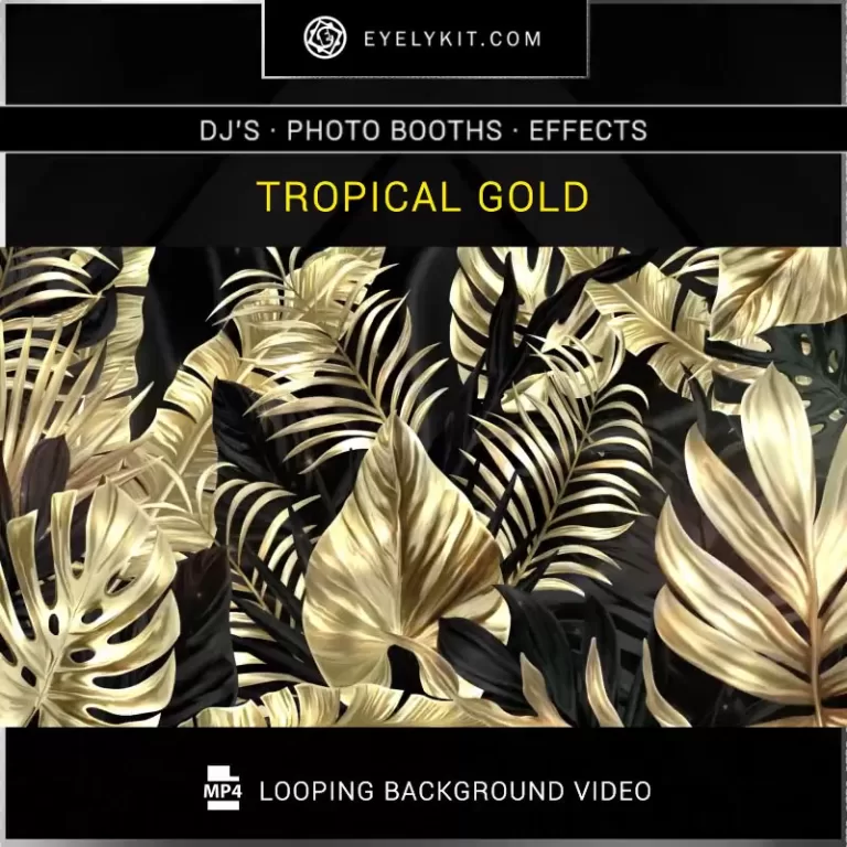 PHOTO BOOTH VIDEO BACKGROUND background-video-effects-360-booth-tropical-gold