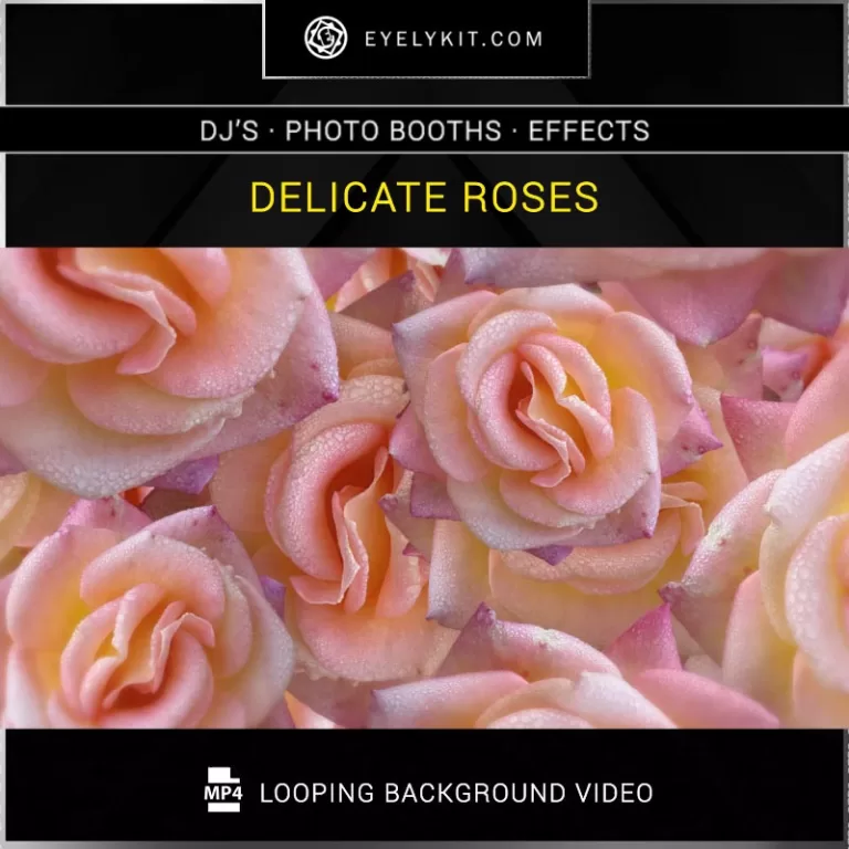 PHOTO BOOTH VIDEO BACKGROUND background-video-effects-photobooths-360-delicate-roses_1