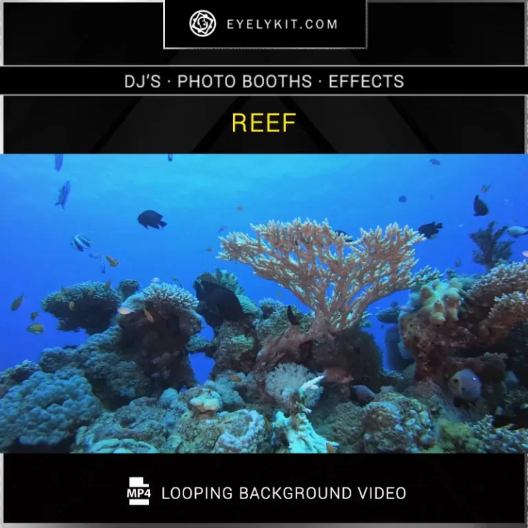 PHOTO BOOTH VIDEO BACKGROUND background-video-effects-reef