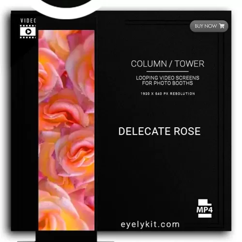 COLUMN-PILLAR-TOWER-VIDEO-COLUMN-DEMO-PHOTOBOOTH-DELECATE-ROSE