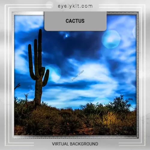 virtual-backdrop-photobooth-CACTUS-PROOF virtual-backdrop-photobooth-CACTUS-PROOF