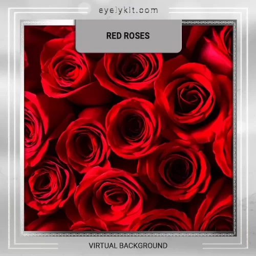 virtual-backdrop-photobooth-RED-ROSE-CENTER-1