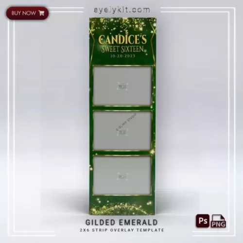 PHOTO BOOTH OVERLAY PHOTOBOOTH-OVERLAY-EYELYKIT-HOW-TO-gilded-emerald-2x6l