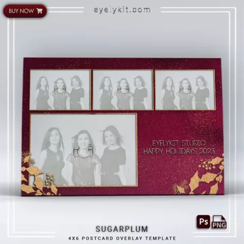 HOLIDAY PHOTO BOOTH OVERLAY PHOTOBOOTH-OVERLAY-EYELYKIT-HOW-TO-sugarplum-4picl