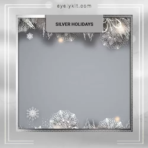 Christmas Backdrop virtual-backdrop-photobooth-silver-holidays-3