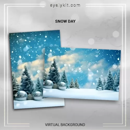 Beautiful Christmas Photo Booth Backdrops SNOW-DAY-3