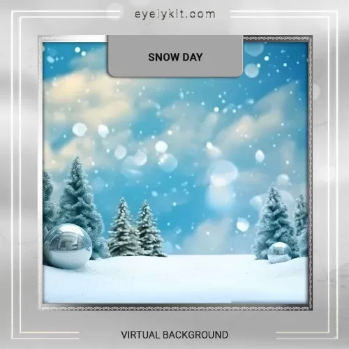 Beautiful Christmas Photo Booth Backdrops SNOW-DAY-3