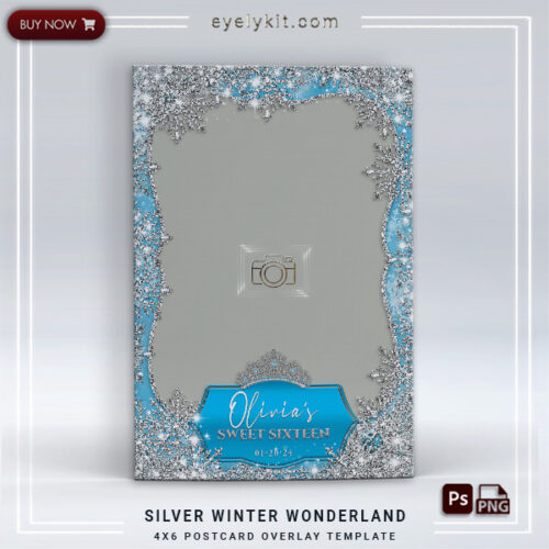 Silver Snowflakes PHOTOBOOTH-OVERLAY-EYELYKIT-HOW-TO-SILVER-WINTER-WONDERLAND-1PICP