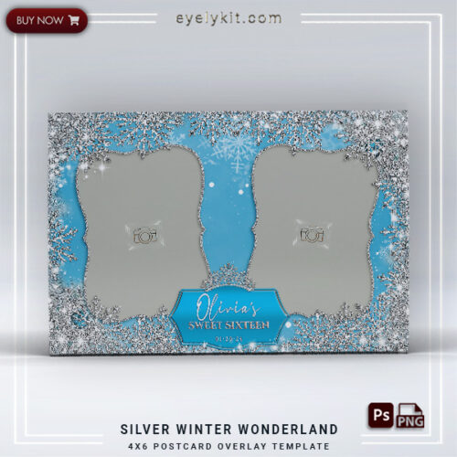 Silver Snowflakes PHOTOBOOTH-OVERLAY-EYELYKIT-HOW-TO-SILVER-WINTER-WONDERLAND-2PICP