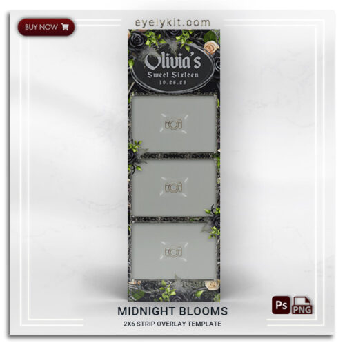 elegant gothic photo booth frame PHOTOBOOTH-OVERLAY-EYELYKIT-HOW-TO-MIDNIGHT-BLOOMS-2X6-STRIP-Ljpg