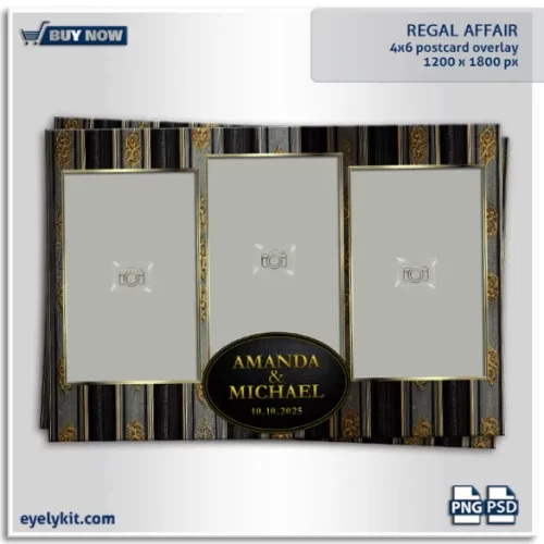 Regal Affair Overlay- This overlay features an elegant combination of gold, silver, and black stripes, accented by gold elements, and a striking black textured oval-shaped text label that ensures every photo becomes a masterpiece.